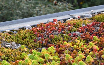 the cost of Bury green roof installation