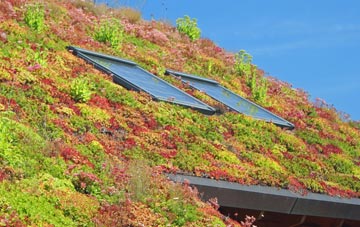 Bury living roof systems